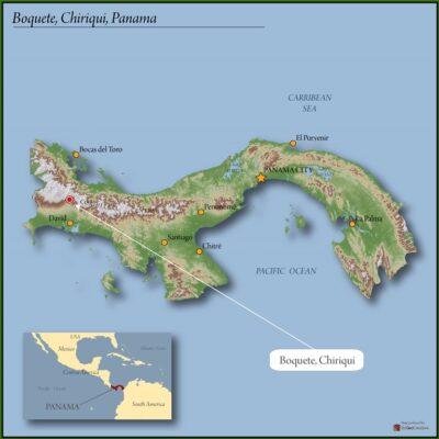 Panama Finca Lerida Washed Gesha 