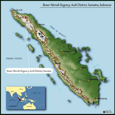 Sumatra Mandheling Sibaganding Tua Grade 1 