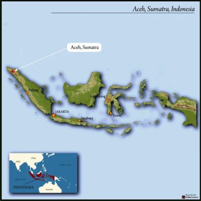 SUMATRA ORGANIC TAKENGON ATU LINTANG IKA MANDHELING GRADE 1 