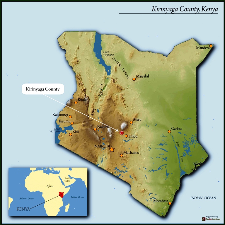 Kenya Nyeri Kibirigwi Thunguri AA 