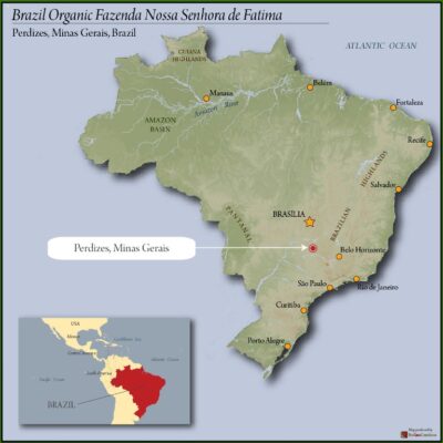 BRAZIL ORGANIC NOSSA SENHORA DE FATIMA 15+ 