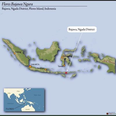 FLORES ORGANIC BAJAWA NGURA WET HULLED 