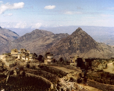 Ali Hiba Muslot & Sons Yemen Mocca Sanani