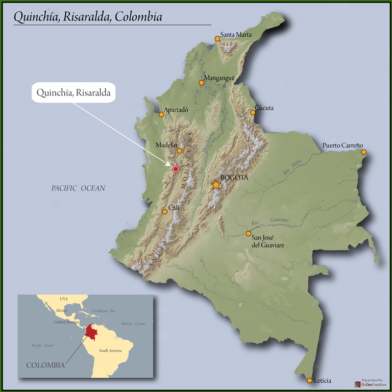 Colombia Risaralda Excelso EP (risaralda) | Royal Coffee
