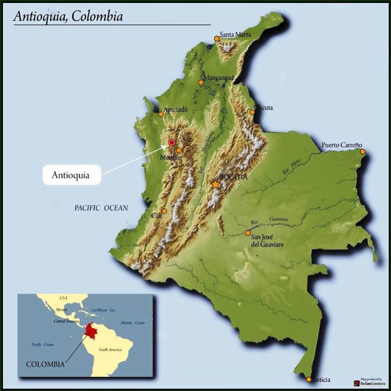 Colombia Excelso EP Antioquia Ituango Grainpro | | Royal Coffee