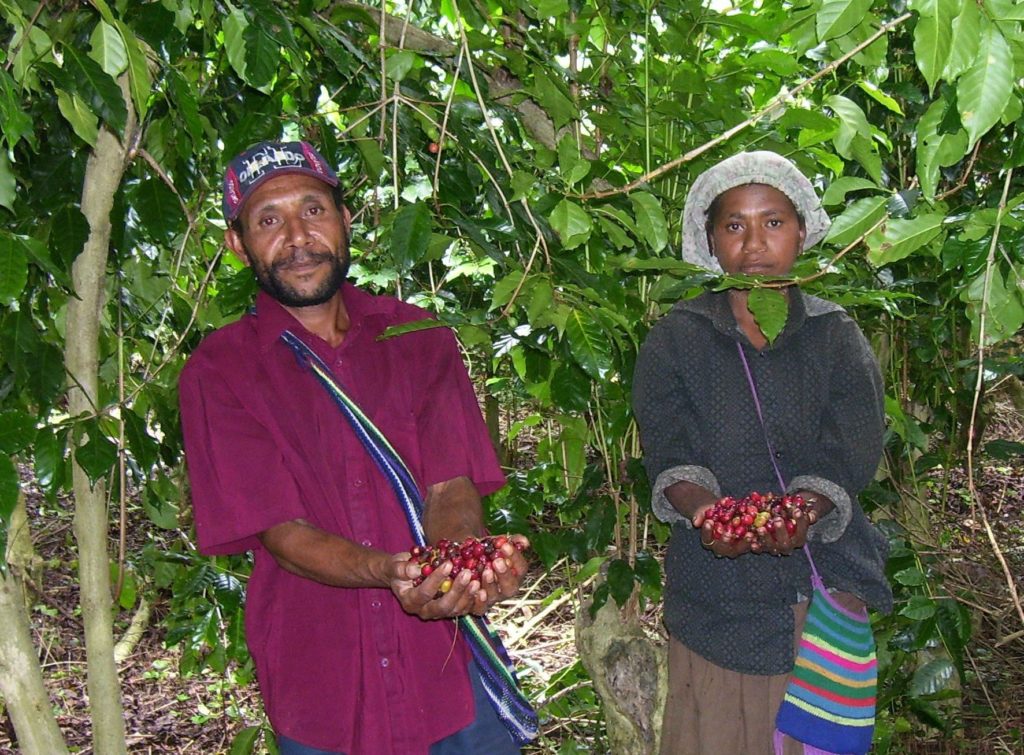 Kimel Banz, Mundo Novo, Blue Mountain, Typica, Arusha, Caturra, Catimor Papua New Guinea Western Highlands, Waghi Valley