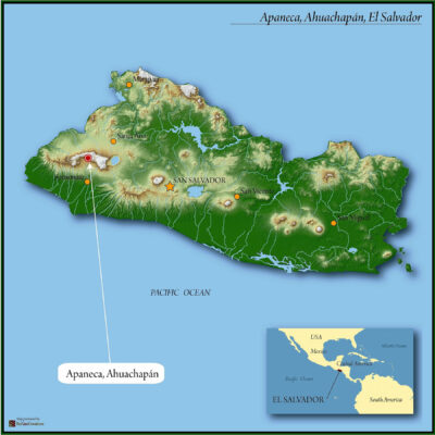 El Salvador Washed SHG EP 