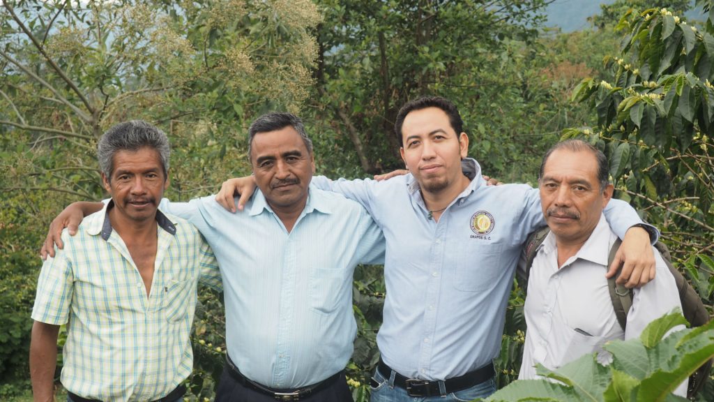 GRAPOS Chiapas, Mexico Bourbon, Caturra, Catuai, and Typica