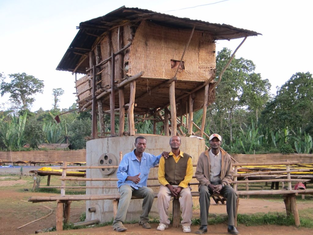 Edido Cooperative Ethiopia Idido, Gedeo Zone