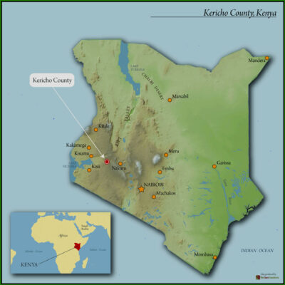 Kenya Kericho Boma AA  