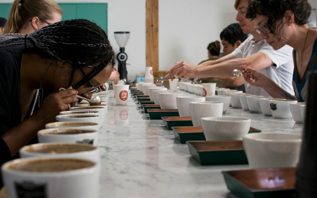 Intro to Cupping: Defects, the Flavor Wheel, and the SCA Form