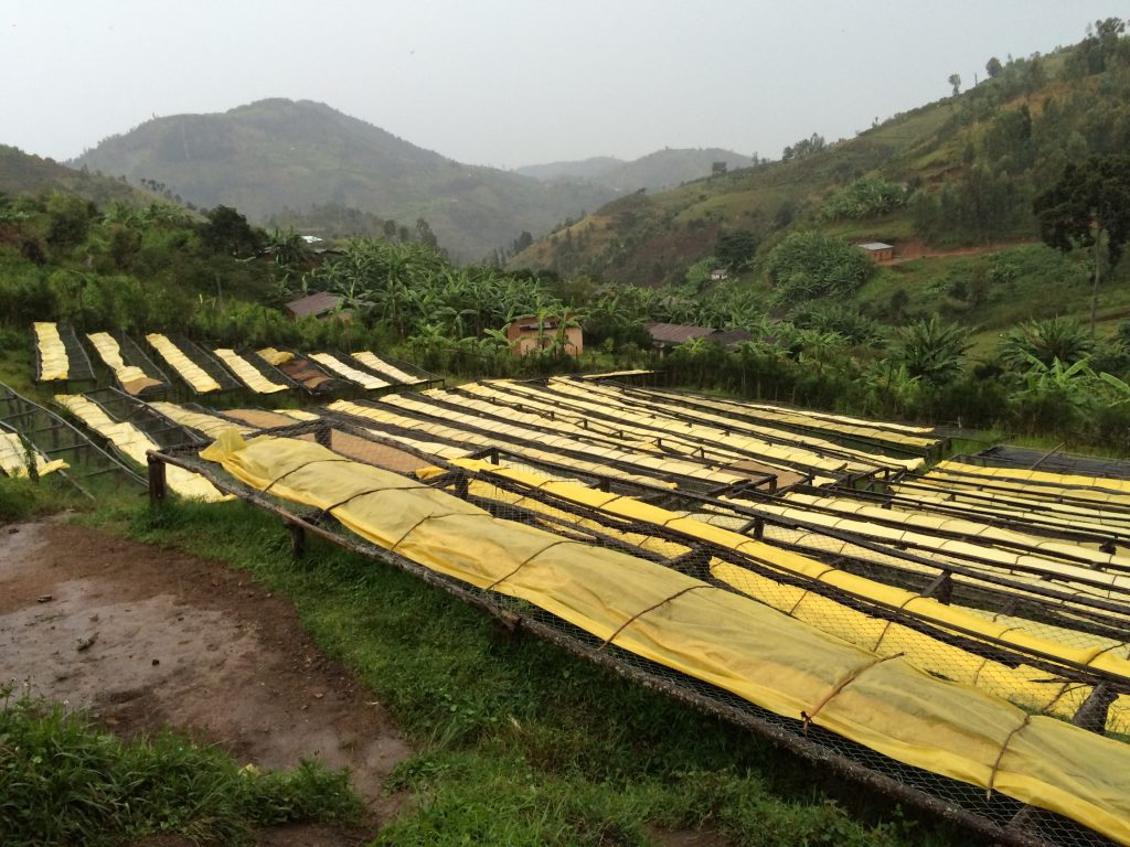 Rainy season at Mahembe washing station in Nyamasheke, Rwanda