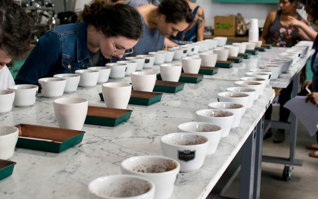 Royal Cupping at Bay Area CoRoasters – FREE