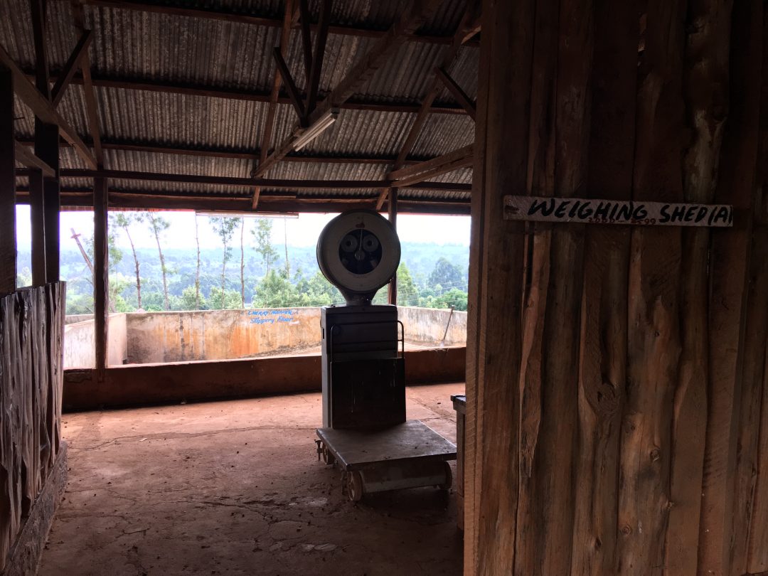 Auctioning Coffees At Origin Kenya's Coffee Exchange Royal Coffee