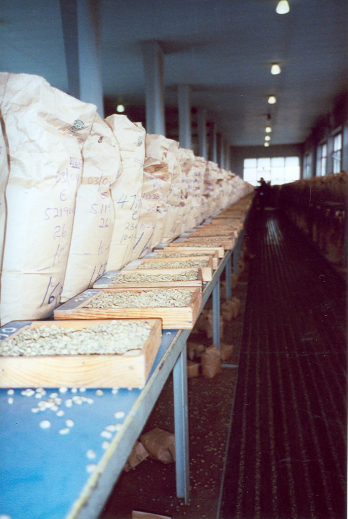 Coffee Auctions Part 1 How Coffee Auctions Evolved into the Modern Era