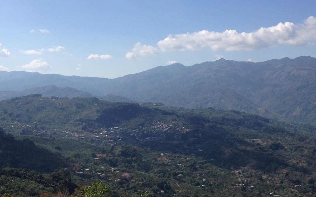 The Coffee Buyers’ Cupping Table: Costa Rica Spotlight