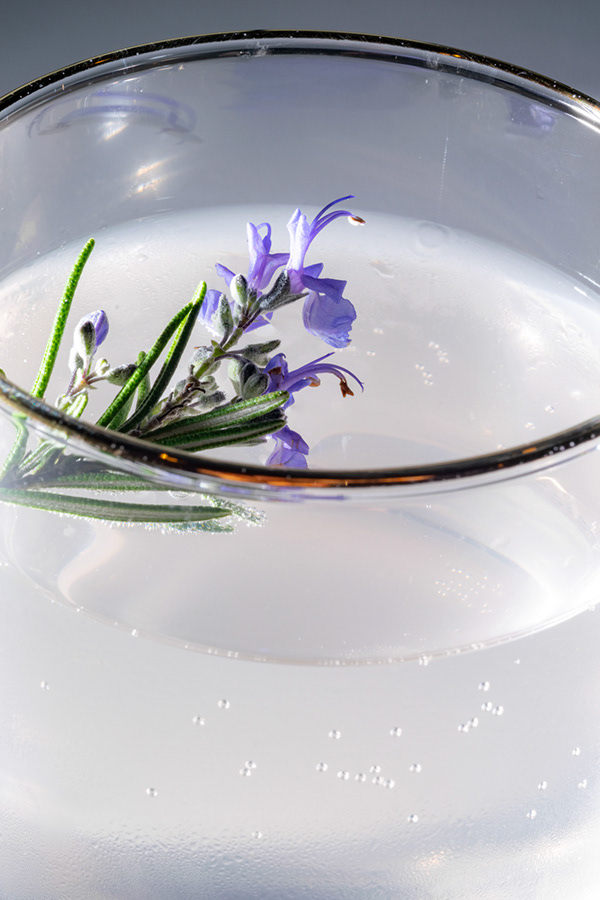 Orange & Rosemary Shrub — Assume Nothing! A Year Of Recipes Royal Coffee