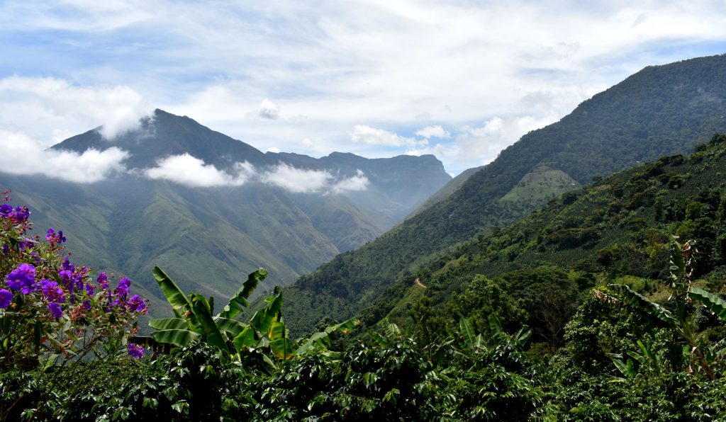 mountains in Colombia