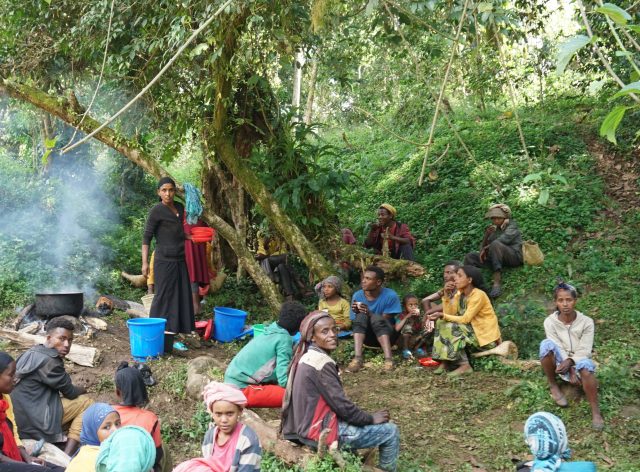 Coffee break for pickers in Gera, Jimma