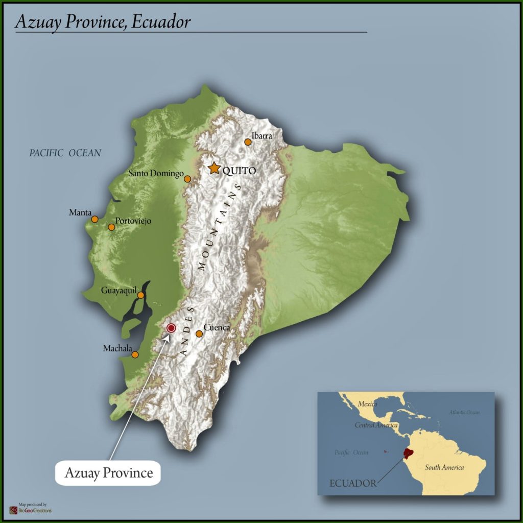 Ecuador Farmgate Azuay Juan Peña Presents Santa Isabel Blend Natural 