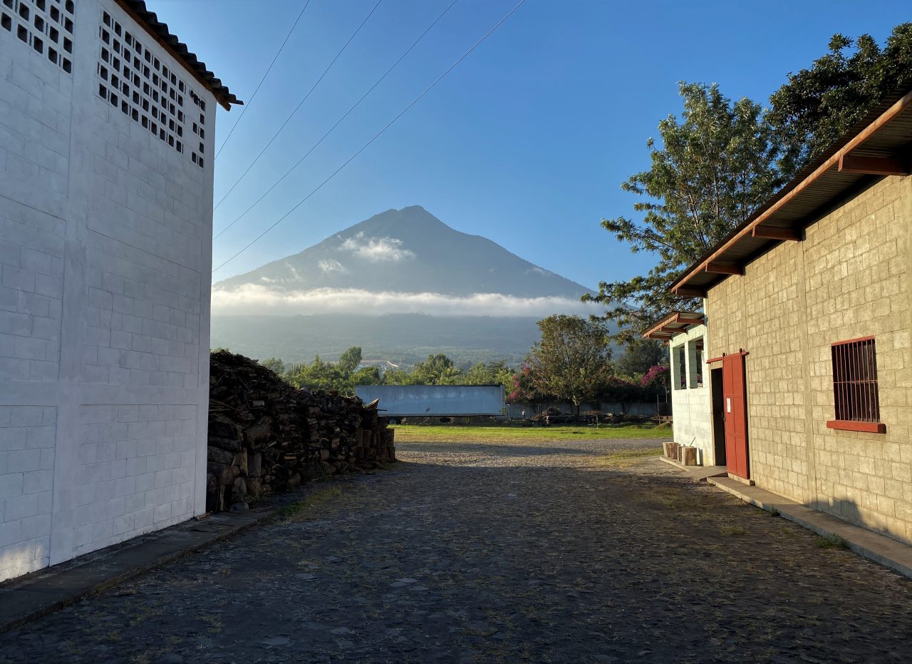 Guatemala Farms Of Antigua Lot 38 28355 GrainPro Bags SPOT RCWHSE Royal Coffee