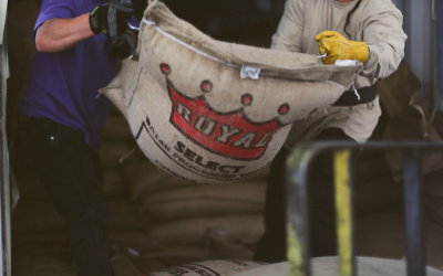 What Does ‘Direct Trade’ Actually Mean? A Specialty Coffee Reality Check 