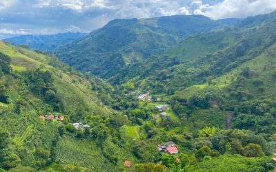 Colombian Coffee Regions and Varieties