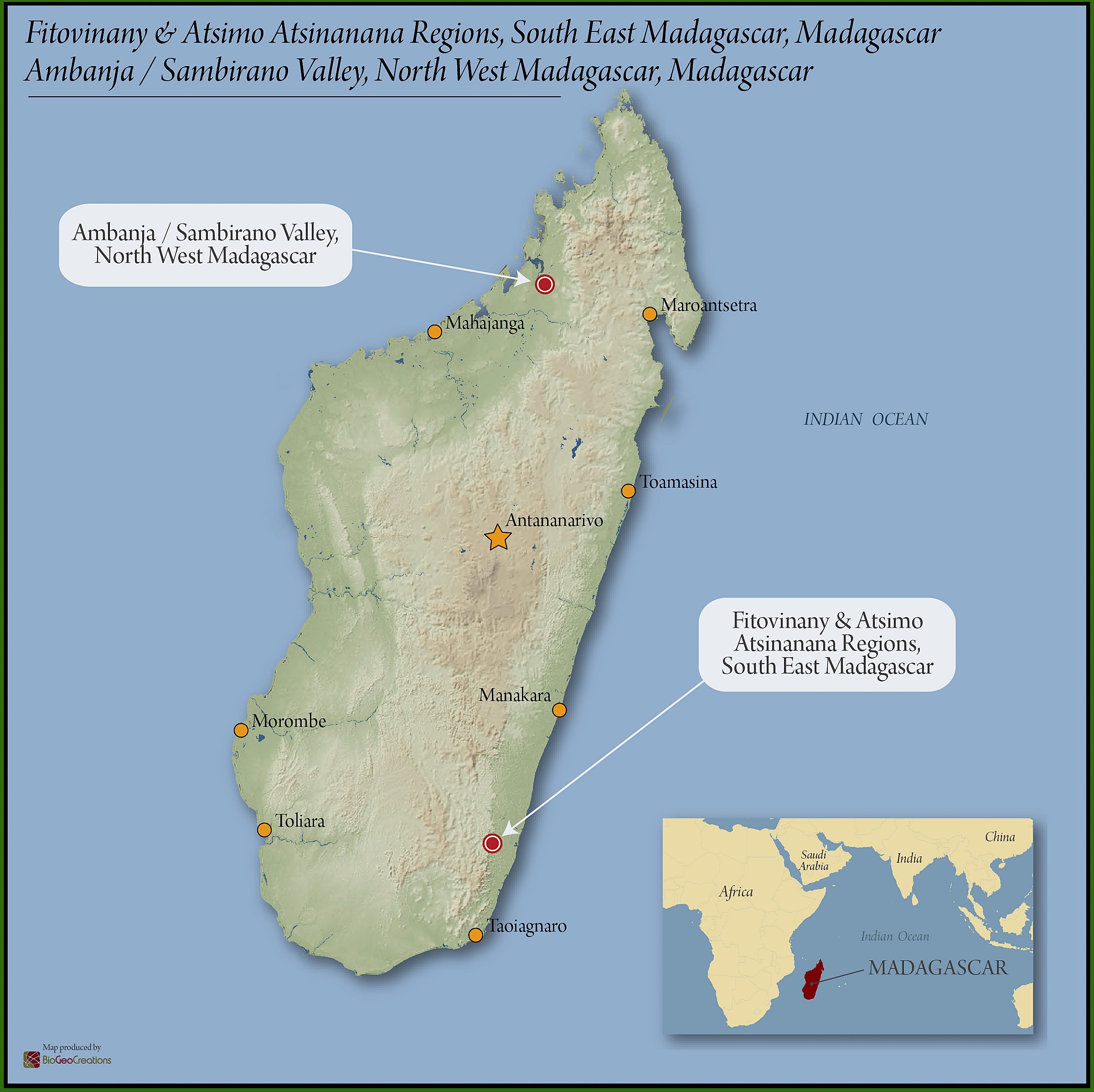 Madagascar Robusta Cherry 