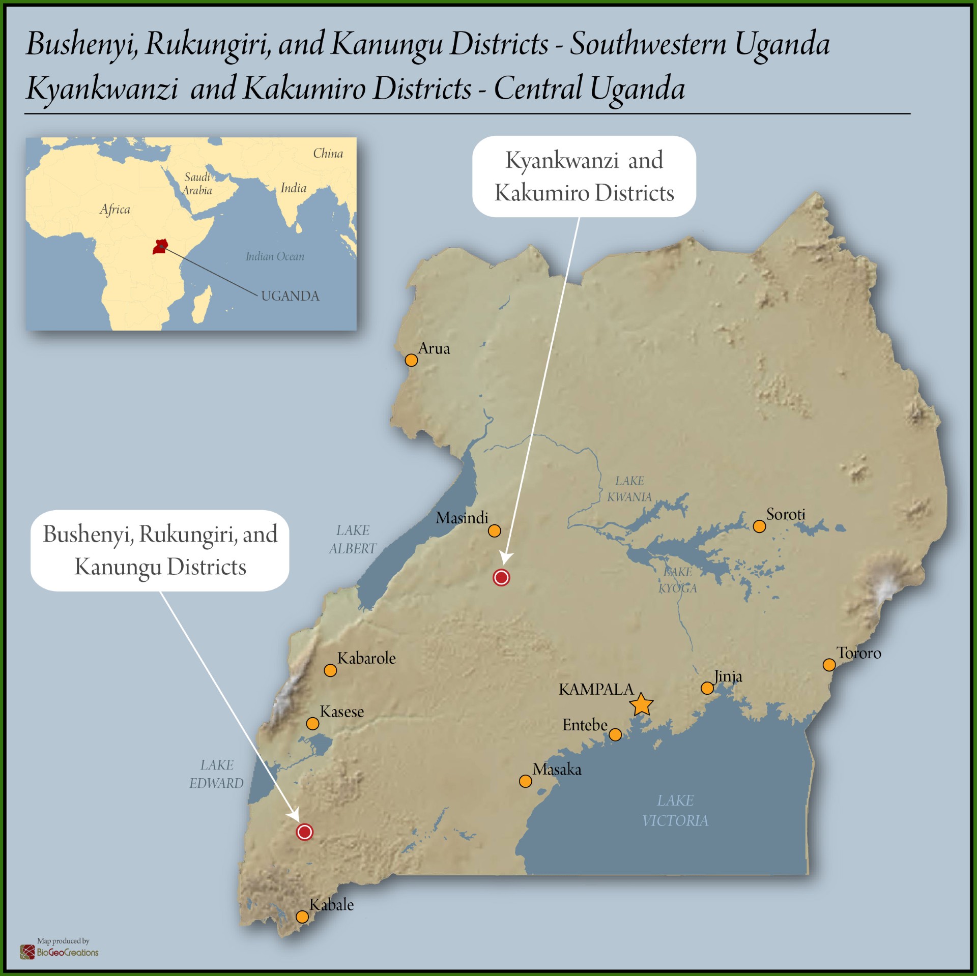 Uganda Robusta Cherry 17 