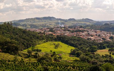 Brazil Export Review