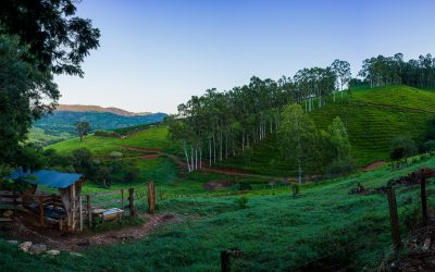 Brazil: Why It’s Worth Booking Before September