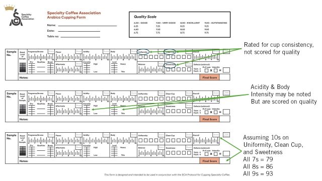 specialty coffee cupping form