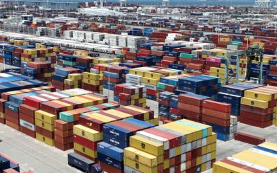 Coffee Shipping Timelines Explained: Intend Ship Date, ETA & Real Transit Averages