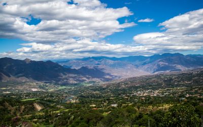 Ecuador Coffee Export Review: Loja, Zamora Chinchipe & Pichincha
