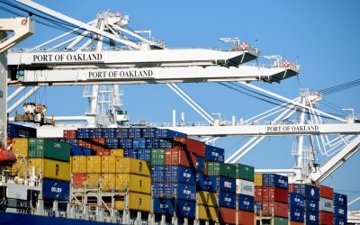 IEEPA Tariff Refunds: Where Royal Coffee Stands