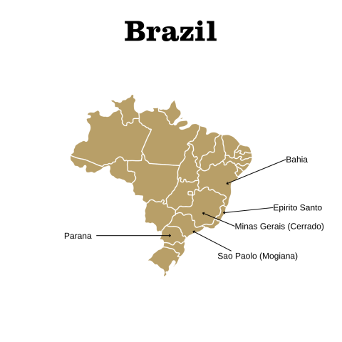 Brazil coffee growing regions