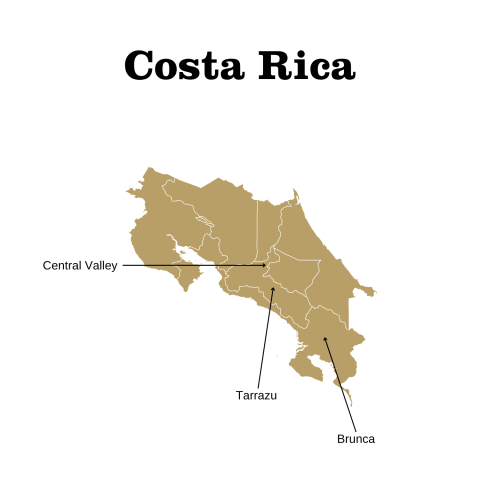 Costa Rica Growing Regions