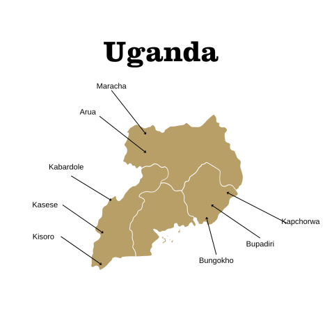 uganda coffee growing regions