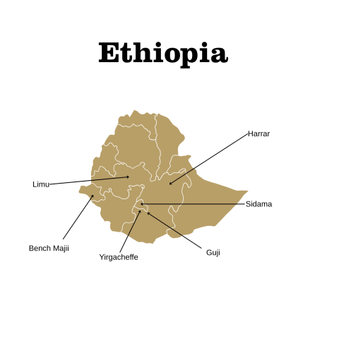 ethiopia coffee growing regions